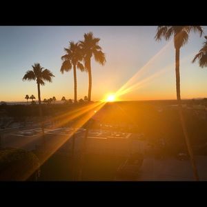 Meet your Posher, T.